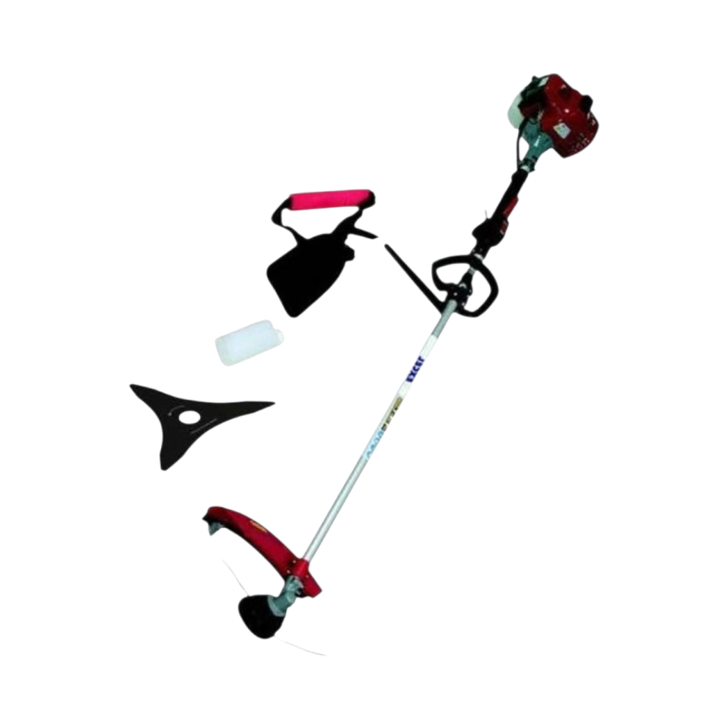 DECESPUGLIATORE DP33 EXCEL
